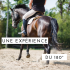 Le cheval vous entraine a 180°