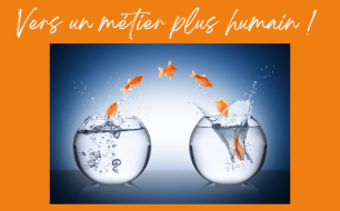 De l’entreprise à l’humain : Éléonore raconte sa transition avec Virages De l’entreprise à l’humain : Éléonore raconte sa transition avec Virages