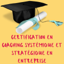 Evaluation du niveau 2 en Coaching systémique et stratégique