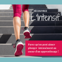 Etapes 1 & 2 Intensif : L’approche systémique et stratégique : Initiation, techniques et outils