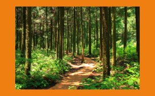 Aller chercher dans le passé pour faire bouger le présent… Par Clotilde Jaqcuet