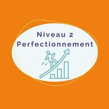 2e niveau - Perfectionnement en thérapie brève systémique