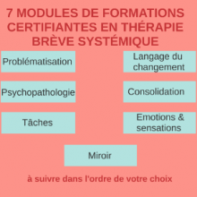 7 modules de formations certifiantes en thérapie brève systémique 