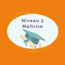 3e niveau - Maîtrise de la pratique