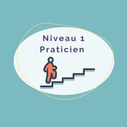 1er niveau – Formation certifiante de praticien en intervention systémique stratégique