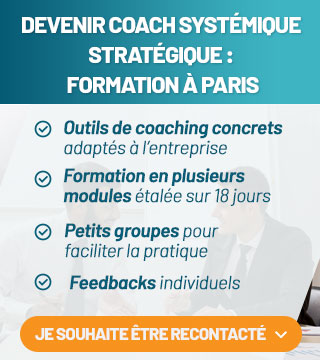 Compétences d' un coach en entreprise en France